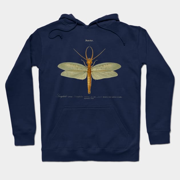 Dragonfly Hoodie by chriswig